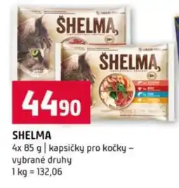 Terno Shelma nabídka