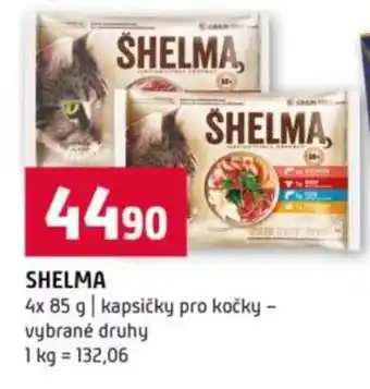 Terno Shelma nabídka