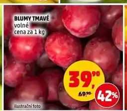 Penny Market Blumy tmavé nabídka