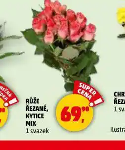 Penny Market Růže řezané nabídka