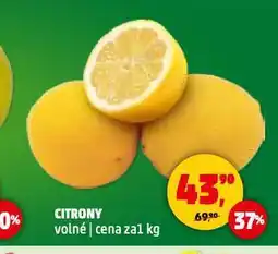 Penny Market Citrony nabídka