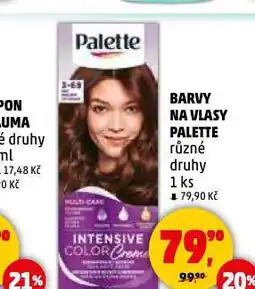 Penny Market Palette barva na vlasy nabídka