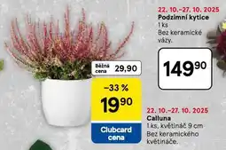 Tesco Calluna nabídka