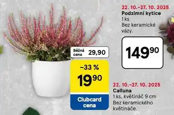 Tesco Calluna nabídka