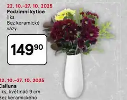 Tesco Podzimní kytice nabídka