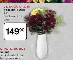 Tesco Podzimní kytice, 1 ks nabídka