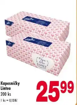 Qanto Kapesníčky Linteo nabídka