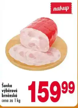 Qanto Šunka výběrová brněnská nabídka