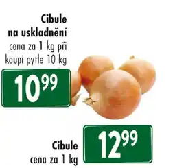 Qanto Cibule na uskladnění nabídka