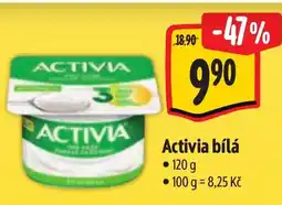 Albert Activia bílá nabídka