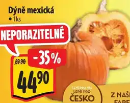 Albert Dýně mexická nabídka
