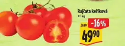 Albert Rajčata keříková nabídka
