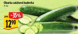 Albert Okurka salátová hadovka nabídka