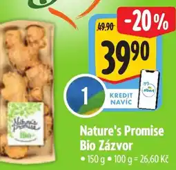 Albert Nature's Promise Bio Zázvor nabídka