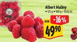 Albert Albert Maliny nabídka