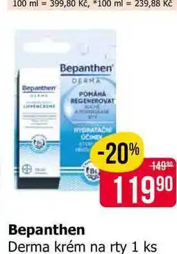 Teta Bepanthen Derma krém na rty 1 ks nabídka