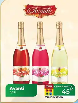 Tamda Foods Avanti 0,75L nabídka