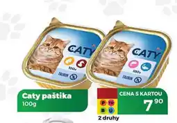 Tamda Foods Caty paštika 100g nabídka