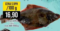 Jip Platys velký cely nabídka