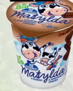 Jip Milko Matylda tvaroh nabídka