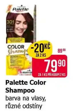 Teta Palette Color Shampoo nabídka
