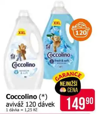 Teta Coccolino nabídka