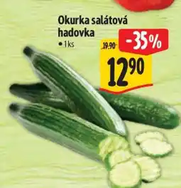 Albert Okurka salátová hadovka nabídka