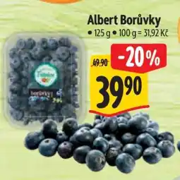 Albert Albert Borůvky nabídka