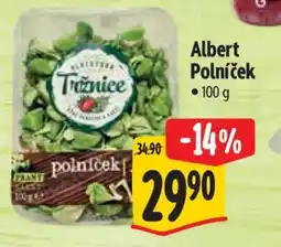Albert Albert Polníček nabídka