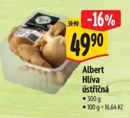 Albert Albert Hlíva ústřičná nabídka