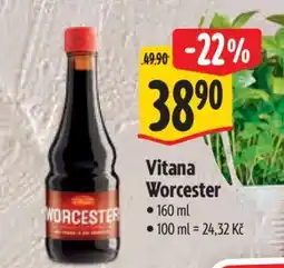 Albert Vitana Worcester nabídka