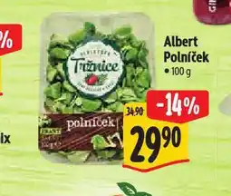Albert Polníček nabídka