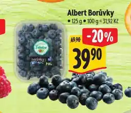 Albert Borůvky nabídka