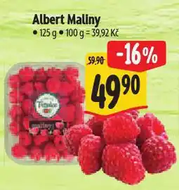 Albert Maliny nabídka