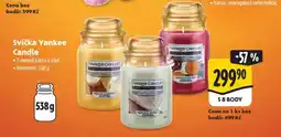 Albert Svíčka yankee candle nabídka
