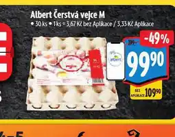 Albert Vejce m nabídka