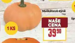 Billa Muškátová dýně nabídka