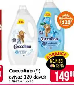 Teta Coccolino aviváž nabídka