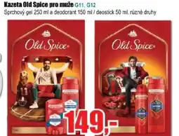 EVA Kazeta Old Spice pro muže nabídka