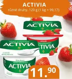 Potraviny CZ Activia nabídka