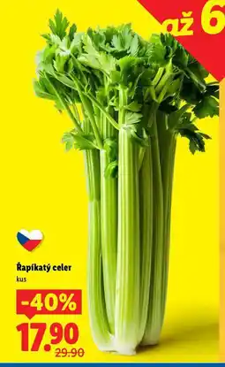 Lidl Řapíkatý celer nabídka