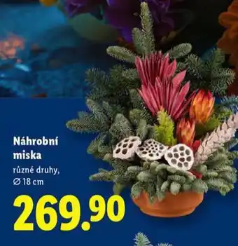 Lidl Náhrobní miska nabídka