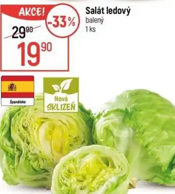 Globus Salát ledový nabídka