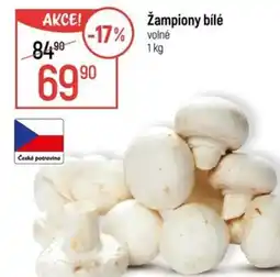 Globus Žampiony bílé nabídka