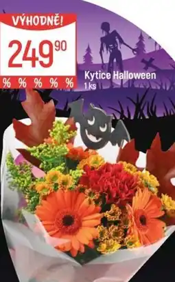 Globus Kytice Halloween nabídka