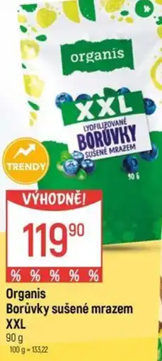 Globus Organis Borůvky sušené mrazem XXL nabídka