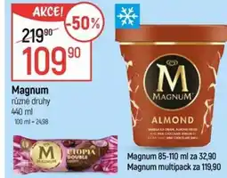 Globus Magnum nabídka