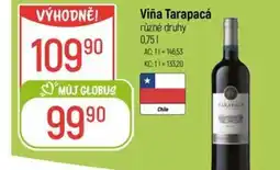 Globus Viña Tarapacá nabídka