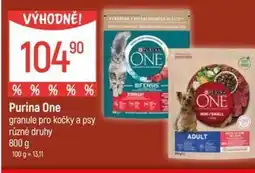 Globus Purina One granule pro kočky a psy nabídka