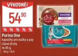 Globus Purina One kapsičky pro kočky a psy nabídka